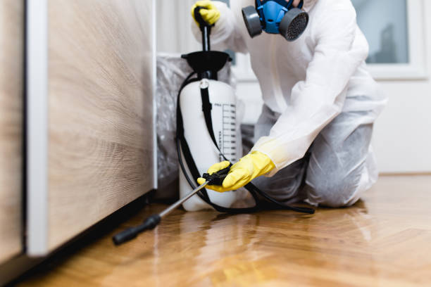 Reliable Vallejo, CA Pest Control Solutions