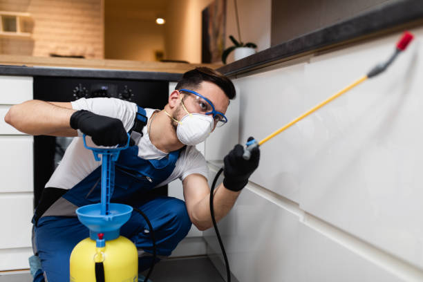 Best Pest Removal Services  in Vallejo, CA