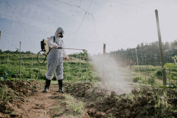Best Pest Control for Homes  in Vallejo, CA