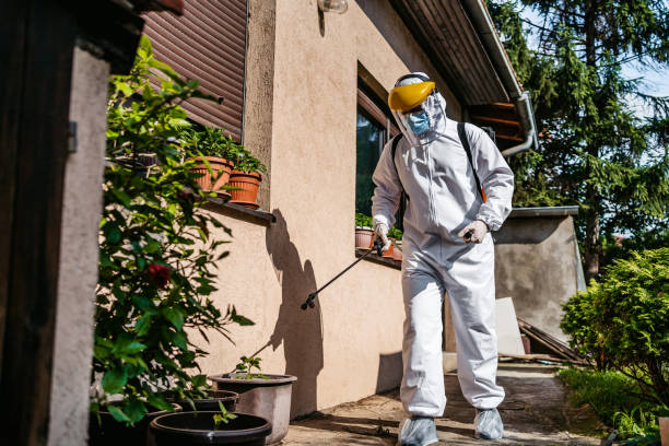 Best Wasp Removal Services  in Vallejo, CA