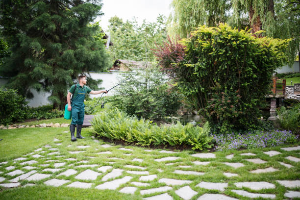 Best Best Pest Control Companies  in Vallejo, CA