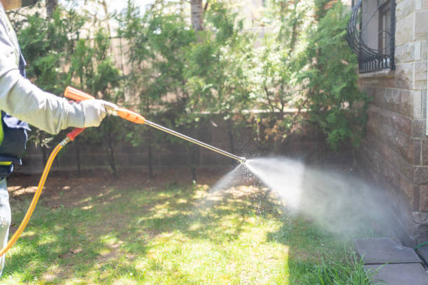 Pest Control for Restaurants in Vallejo, CA